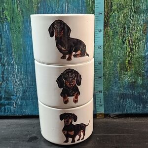 Dachshund Dog Print Ceramic Plant Pots, Change Catchers